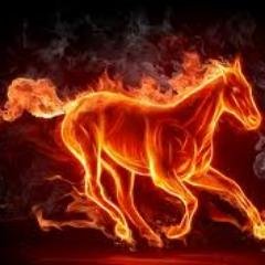 quadrant_ore's profile picture. 