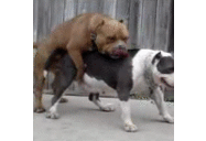 Drew Combs - @DrewCombs - Twitter