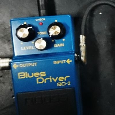 avavav12345av's profile picture. おはようございます