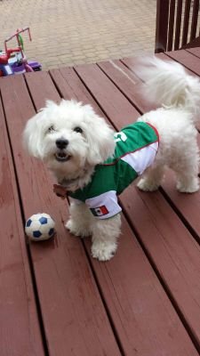 momyola's profile picture. Soccer News Fitness US & World News Weather Food & Drink DIY & Home Parenting Travel Lifestyle Industry News Fitness & Wellness Fashion & Beauty