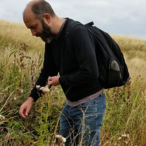 Senior Lecturer in English Language (Uni of Edinburgh). From Tyrone & Tyneside. Dialects & historical phonology. Wildlife, esp. isopods. Melodeon. https://t.co/nOu5leSDRK