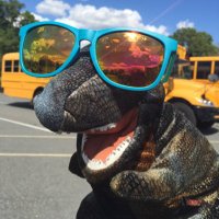 Kerrie Lalli (@lallilab) 's Twitter Profile