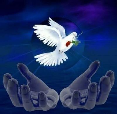 Alex12163320's profile picture. 