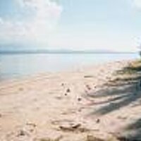 Weddee (@mrswnh) 's Twitter Profile