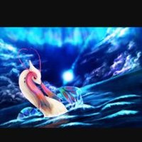 ラリト@inパルデア (@rarito_poke) Twitter profile photo