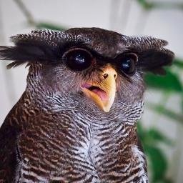 7Pp6NoVI5JNiREV's profile picture. 