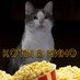 Коты в кино (@KOT_V_KIHO) Twitter profile photo