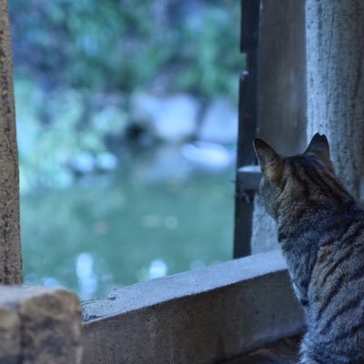 メルスさんのプロフィール画像