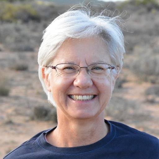 AmeliaGenis's profile picture. Joernalis, navorser, veldloper, boekwurm.