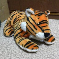 Masayuki@FPGA開発日記 (@dev_msyksphinz) 's Twitter Profile Photo