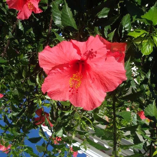 ren205fen217's profile picture. Hello welcome you follow me