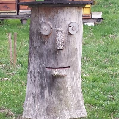 b_d_apeman's profile picture. outdoor, bushcraft, wilderness, hiking...