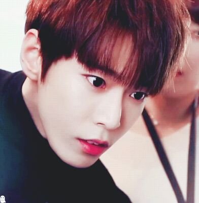 uridoyoung's profile picture. doyoung is beautiful, pls appreciate him more