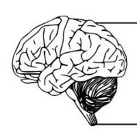 International Neurology Foundation (@intneurology) 's Twitter Profile
