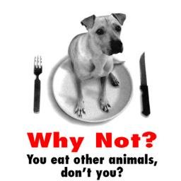 “I am in favor of animal rights as well as human rights. That is the way of a whole human being.”   - President Lincoln