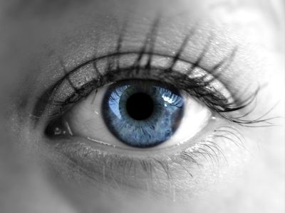 LenseTech's profile picture. Lense Tech News from Tech Valley.