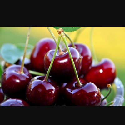 berkanarda06's profile picture. 