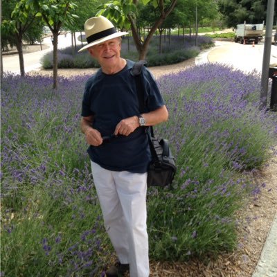 marcelsaghir's profile picture. Musings