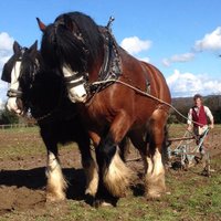 JakHickman (@actonscottfarm) 's Twitter Profile Photo JakHickman (@actonscottfarm) 's Twitter Profile Photo