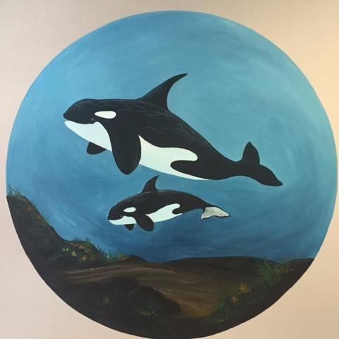 TK-5th Grade...Home of the Orcas