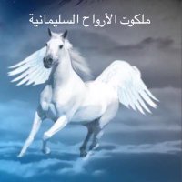 ملكوت الأرواح (@sulaimaniiii) 's Twitter Profile Photo
