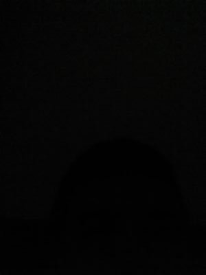 WereWolfLiamRPG's profile picture. 