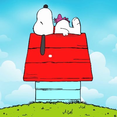 christianxcs's profile picture. lic. en turismo histórico cultural