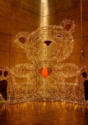 lorayne_duarte's profile picture. 