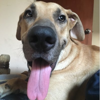 SamirEspinoza6's profile picture. 