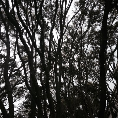 AskCoolvibes's profile picture. 