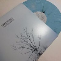 TuneLess Records (@tuneless_recs) 's Twitter Profile