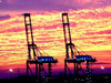 Port of Felixstowe Profile