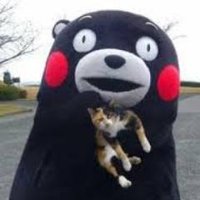 Mikasa (@mikasa77777) 's Twitter Profile