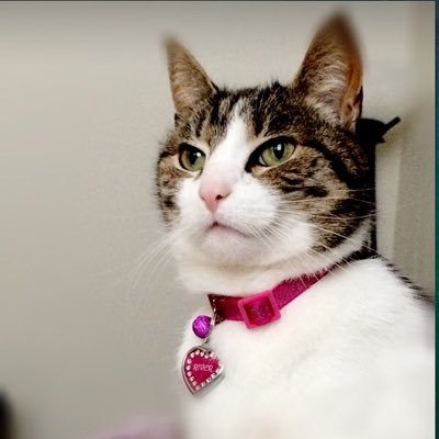 jackiepants2015's profile picture. 