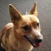 Elizabeth Hughes (@elizabe06663267) Twitter profile photo Elizabeth Hughes (@elizabe06663267) Twitter profile photo