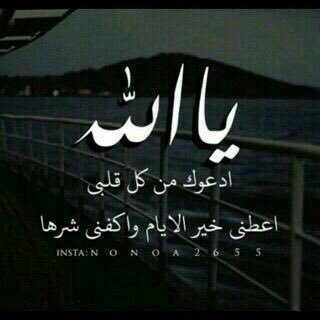 khalid_q_505's profile picture. 