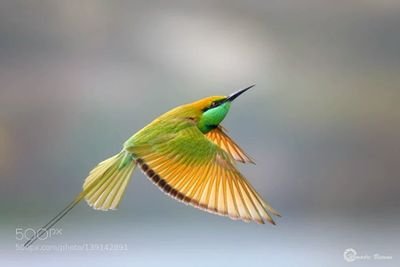 sonofsoil75's profile picture. Follower of JESUS.Husband of 1.Father of 2.