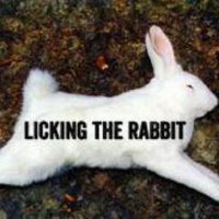 Licking the Rabbit (@licktherabbit) 's Twitter Profile