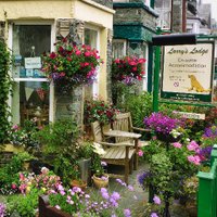 Larry's Lodge (@keswick_bandb) 's Twitter Profile Photo Larry's Lodge (@keswick_bandb) 's Twitter Profile Photo