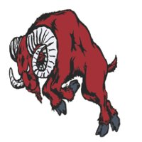 GBE Activities (@gbe_activities) 's Twitter Profile