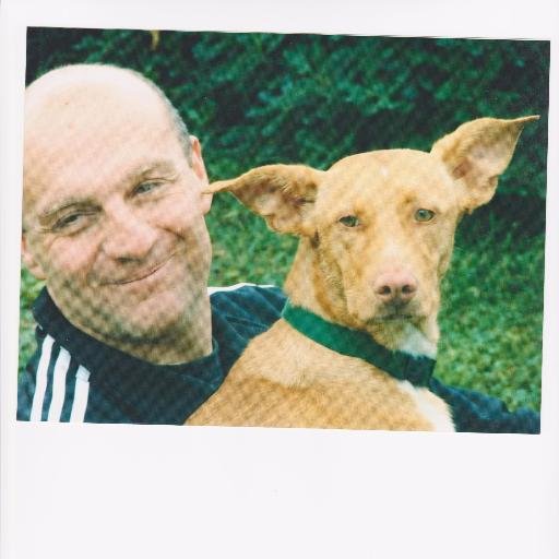 brunero_liseo's profile picture. 