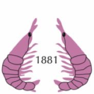 NestonCC (@nestoncricket) 's Twitter Profile