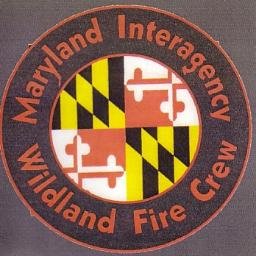 MDwildfire's profile picture. 