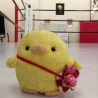 たたた (@tatata_19) Twitter profile photo