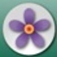 allergen (@allergen) 's Twitter Profile