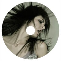 vueltayvueltastudio (@vueltayvuelta) 's Twitter Profile