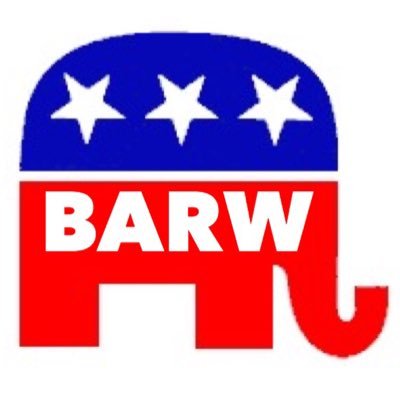 BARW promotes informed electorate through political ed. to increase the effectiveness of women in the cause of good gov't through active political participation