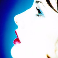 Morgan Lefay Skiles (@shabdikaur) 's Twitter Profile