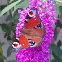 Helen Walton ๐ (@helenwa66989038) 's Twitter Profile Photo Helen Walton ๐ (@helenwa66989038) 's Twitter Profile Photo