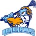 CNY Road Hawks (@cnyroadhawks) Twitter profile photo CNY Road Hawks (@cnyroadhawks) Twitter profile photo